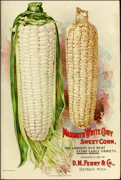 Cover from a seed annual, 1899.